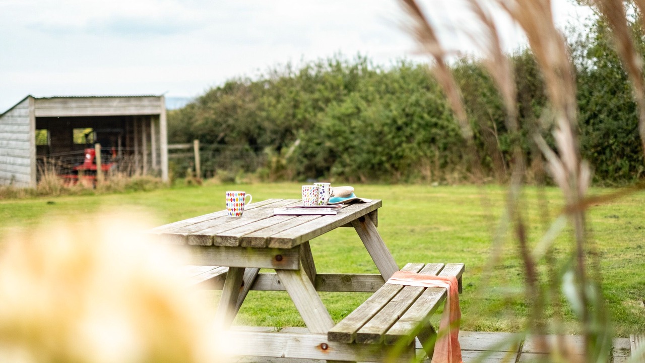 Photo of Others in Port Isaac
