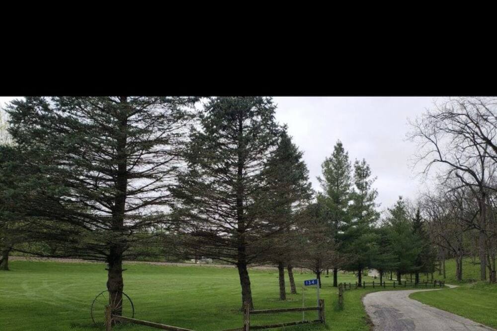 Photo of Others in McGregor