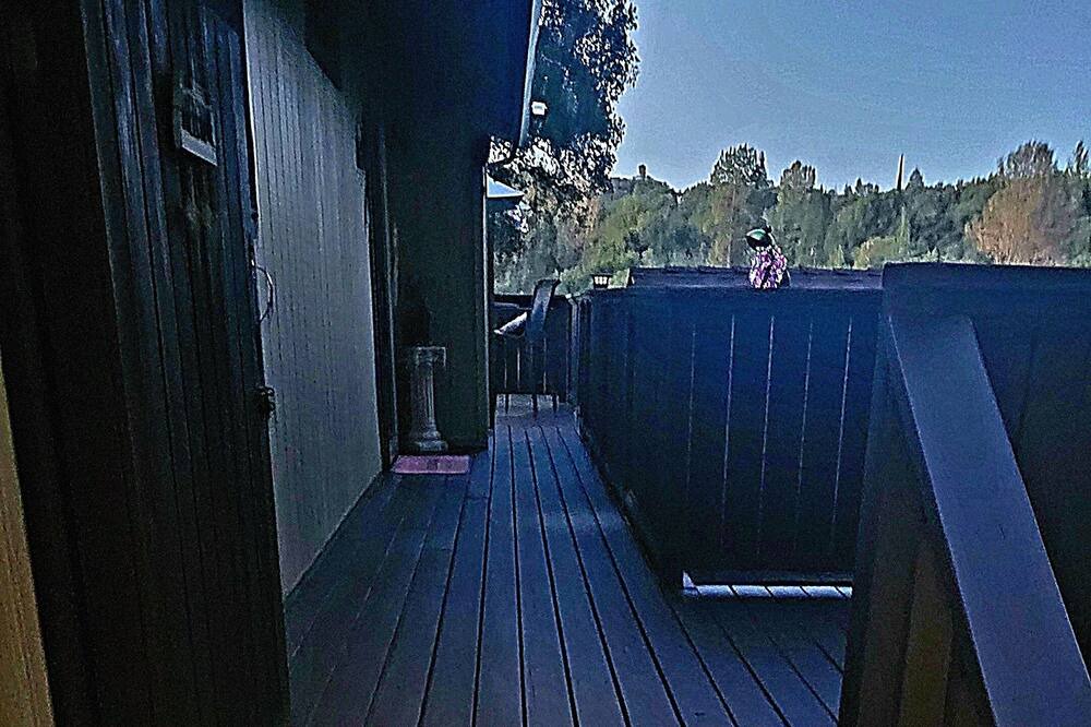 Photo of Others in Placerville