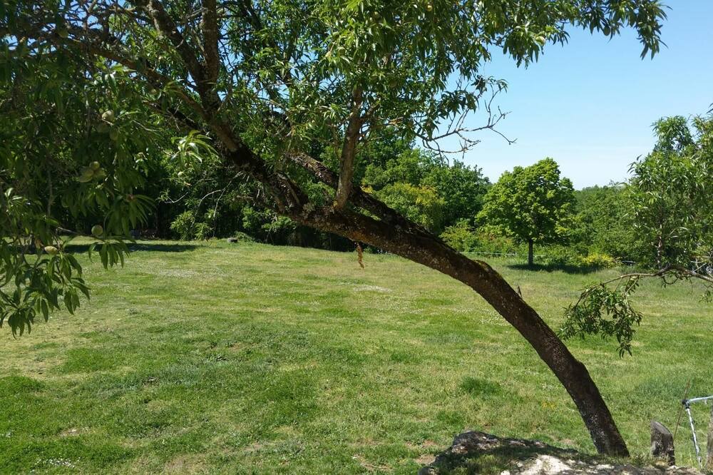 Photo of Outdoor in Cahuzac-sur-Vere