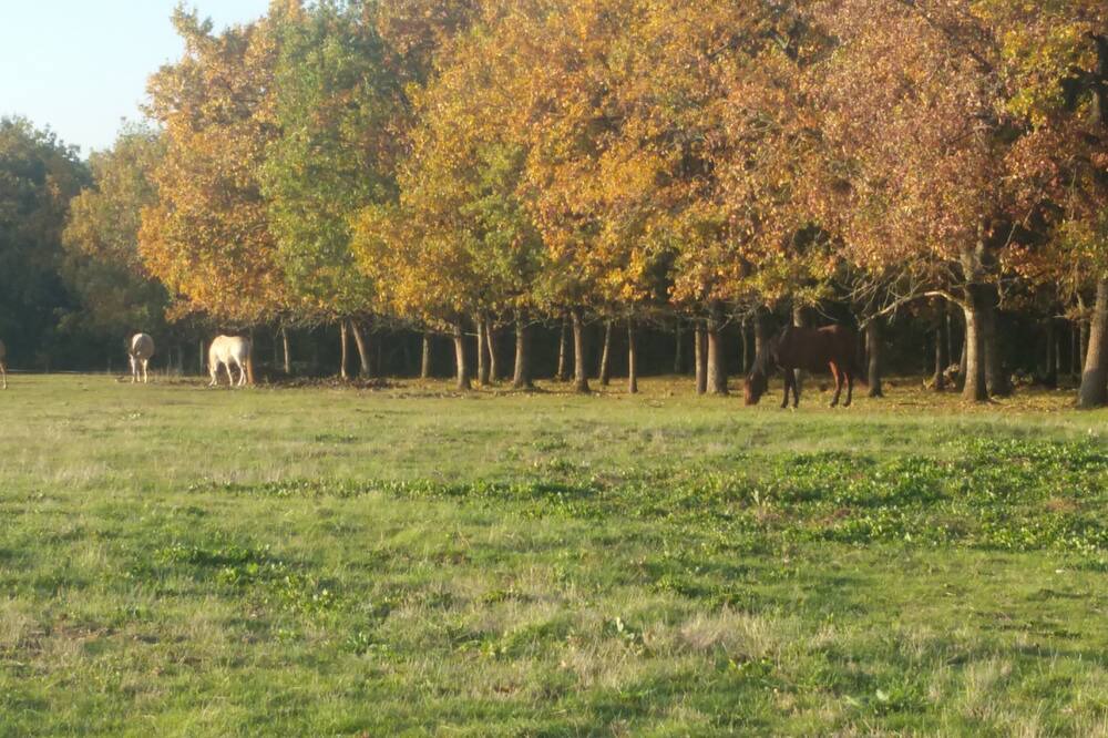 Photo of Outdoor in Cahuzac-sur-Vere