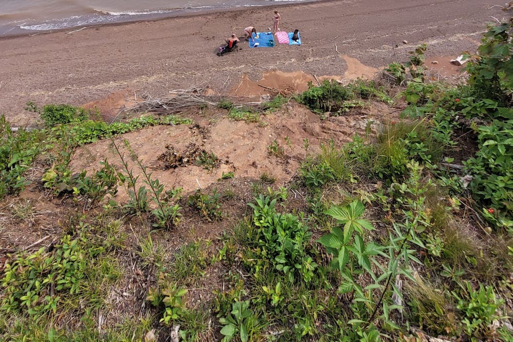 Photo of Others in Colchester County