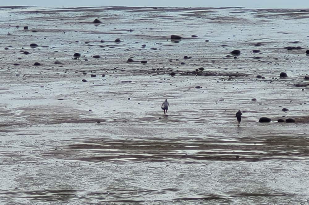 Photo of Others in Colchester County