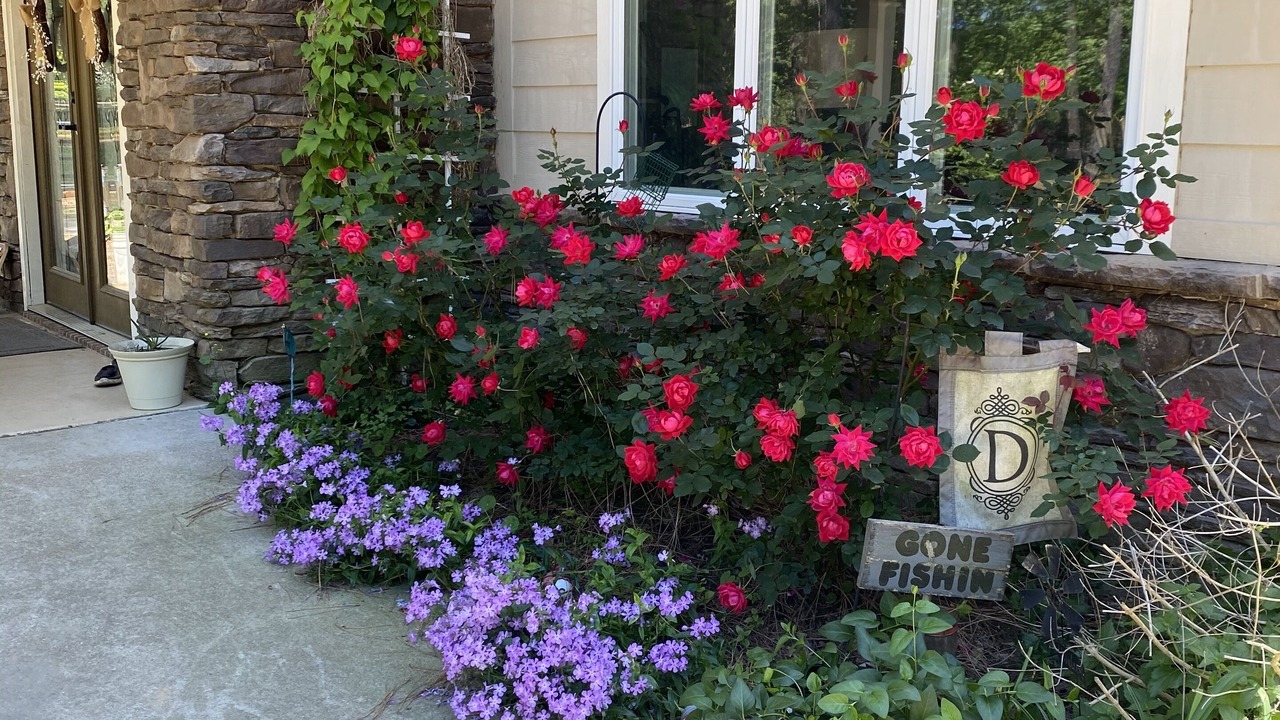 Photo of Outdoor in Negreet