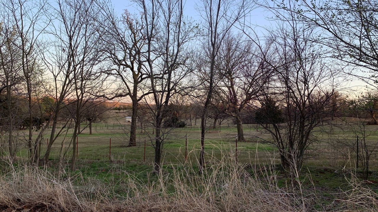 Photo of Outdoor in Luther