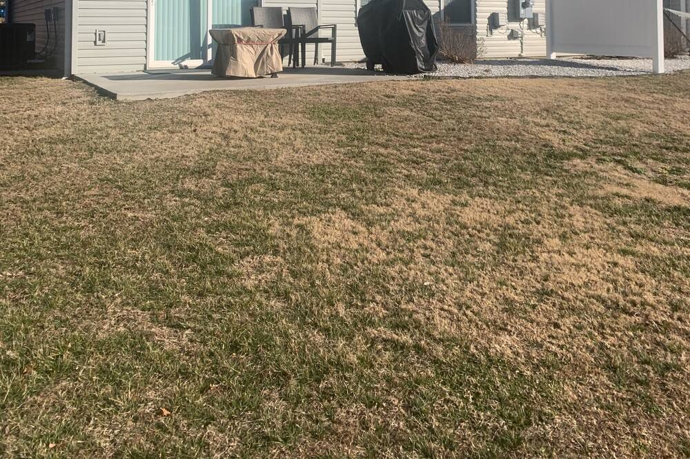 Photo of Outdoor in Carl Junction
