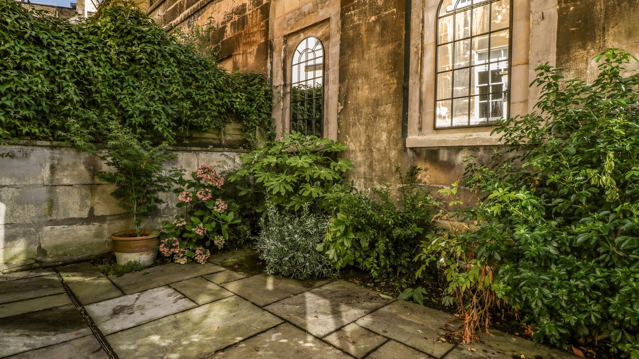 Photo of Others in Bath