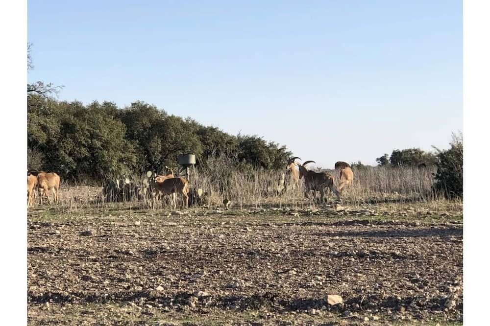 Photo of Outdoor in Kempner