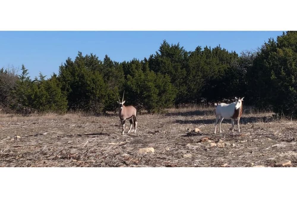 Photo of Others in Kempner