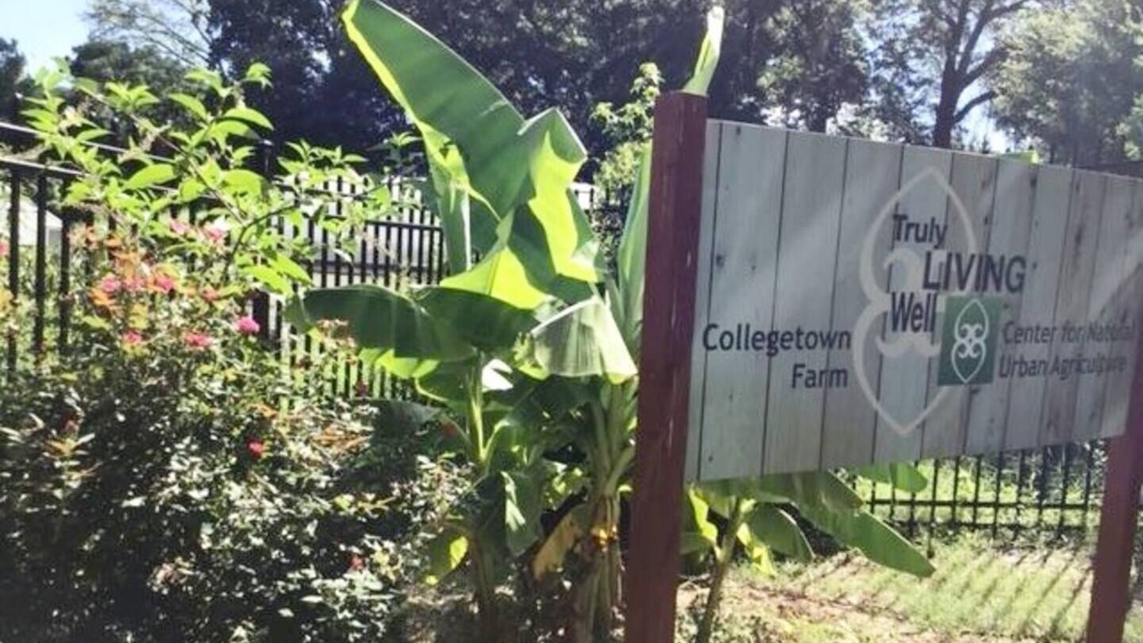 Photo of Outdoor in West End