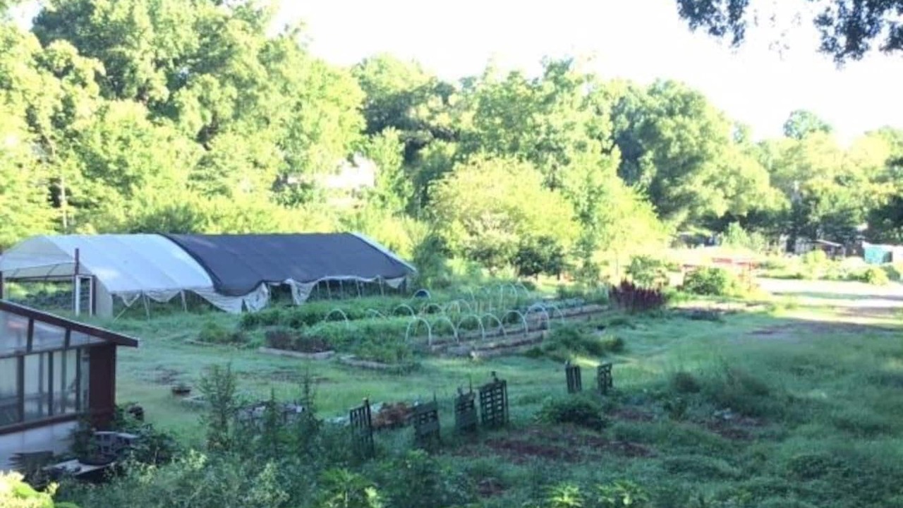 Photo of Outdoor in West End