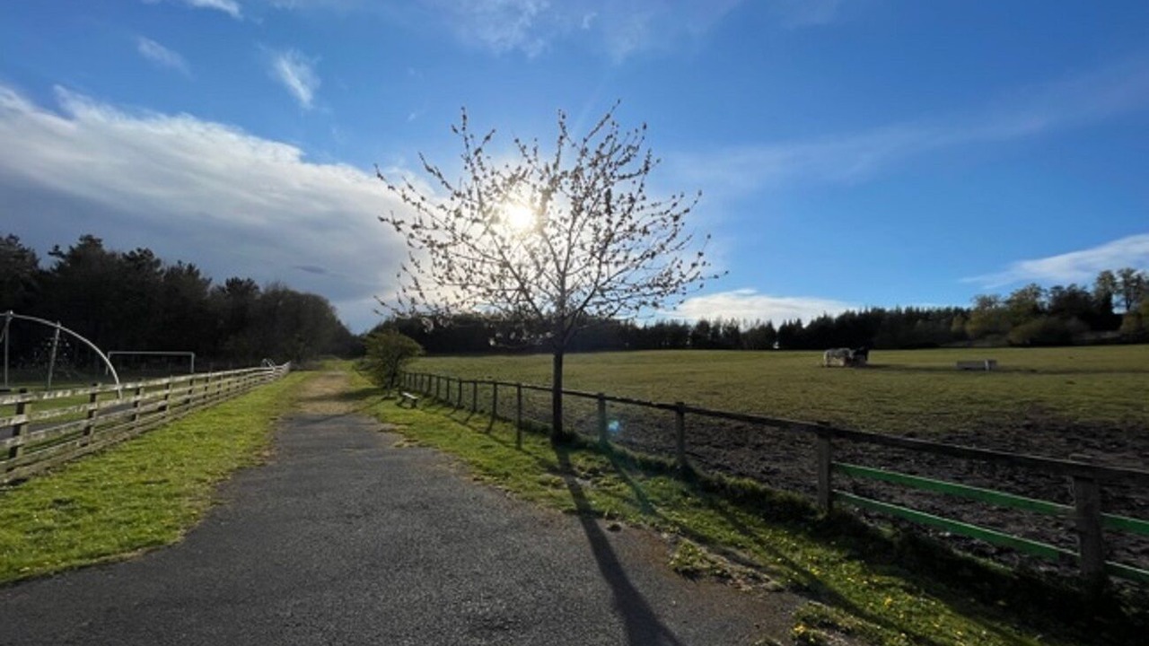 Photo of Outdoor in Durham