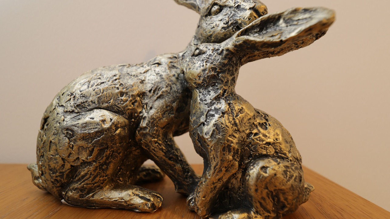 Photo of Others in Cam