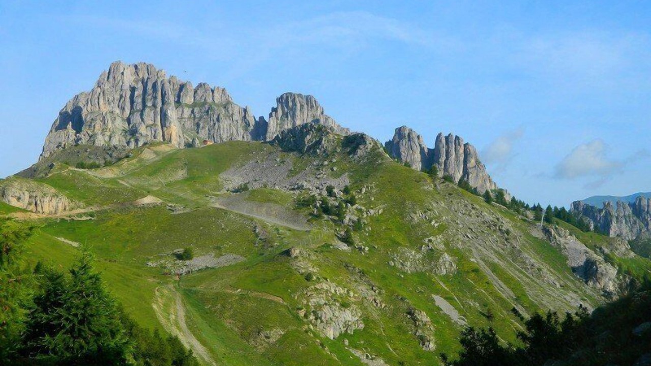 Photo of Others in Reallon