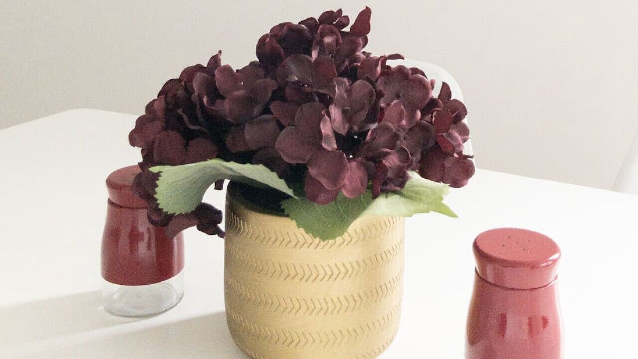 Photo of Others in Fleet