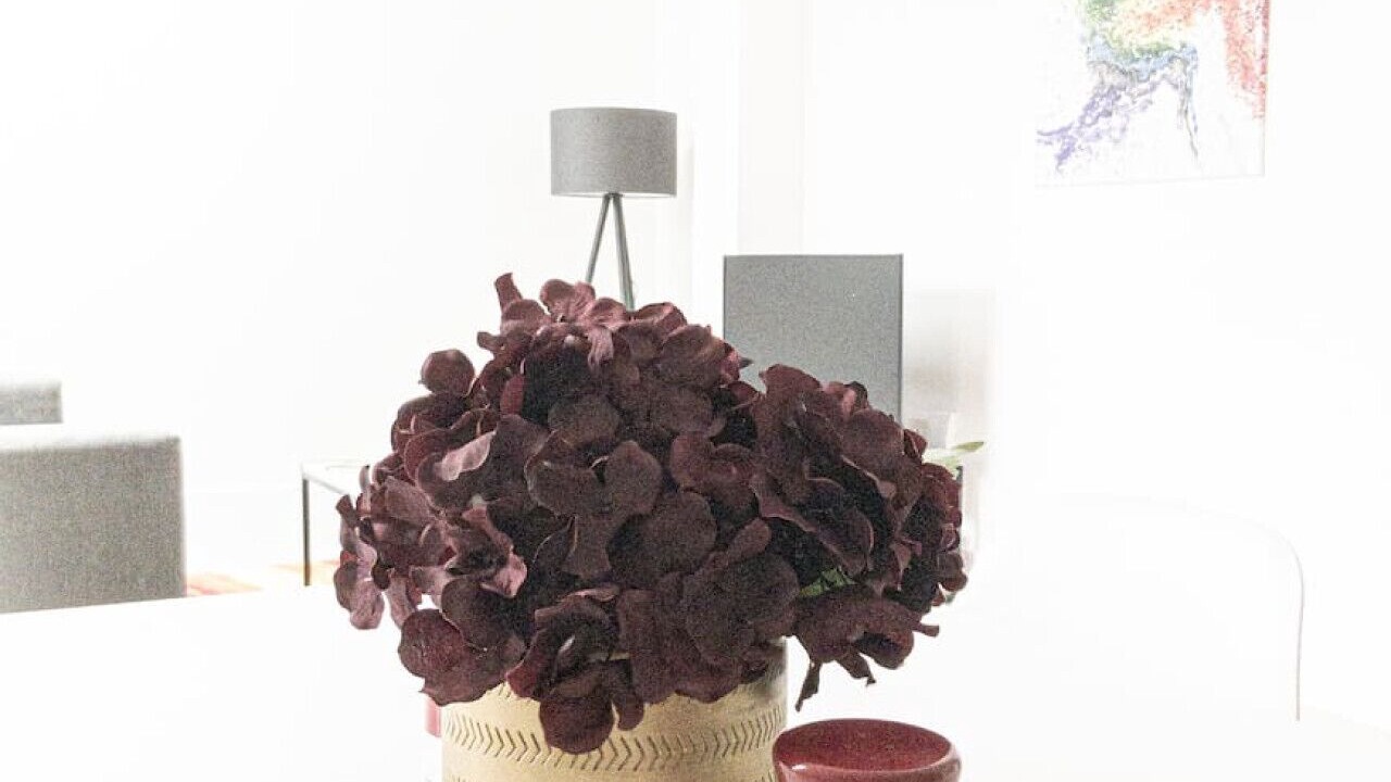 Photo of Others in Fleet