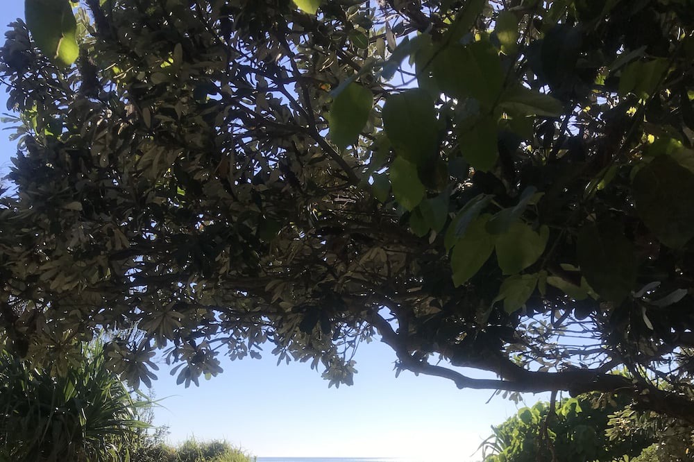 Photo of Outdoor in Cabarita Beach