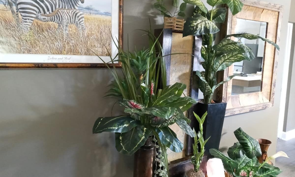 Photo of Others in Warner Robins