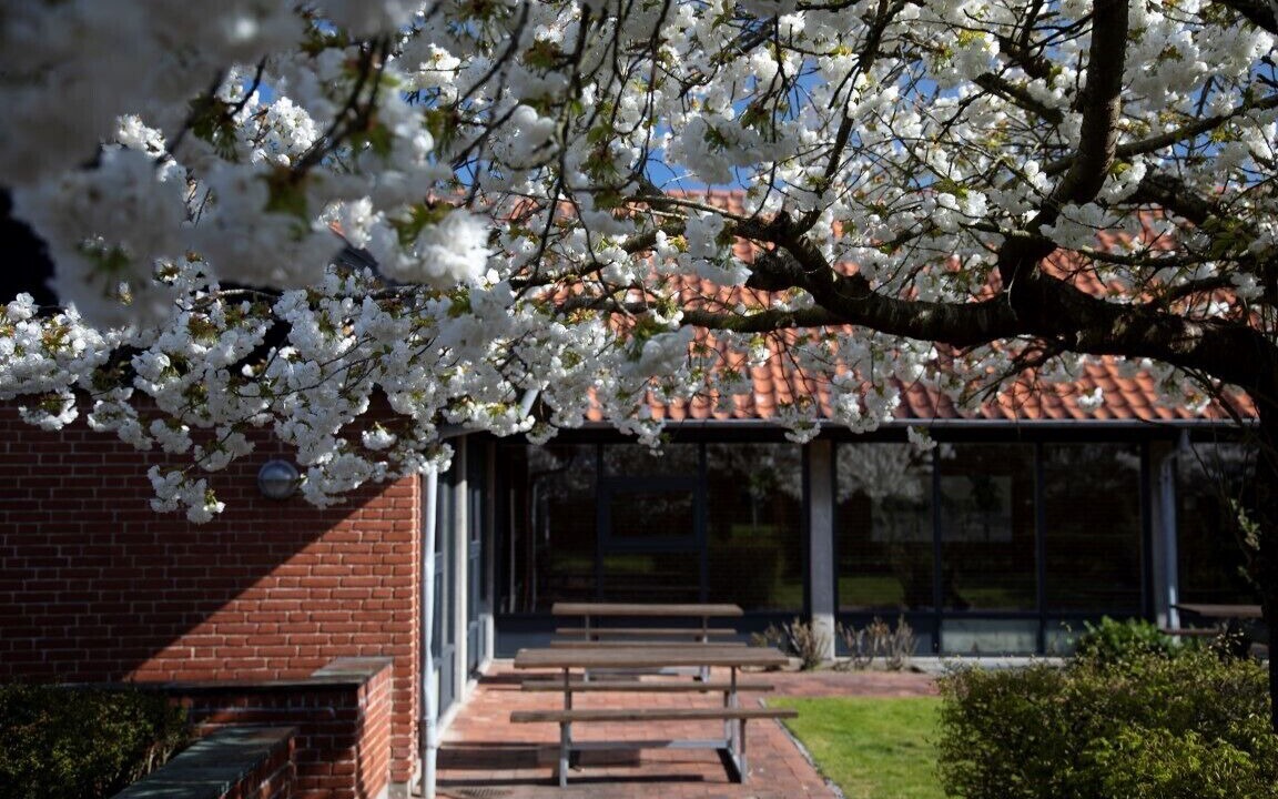 Photo of Outdoor in Sønderborg
