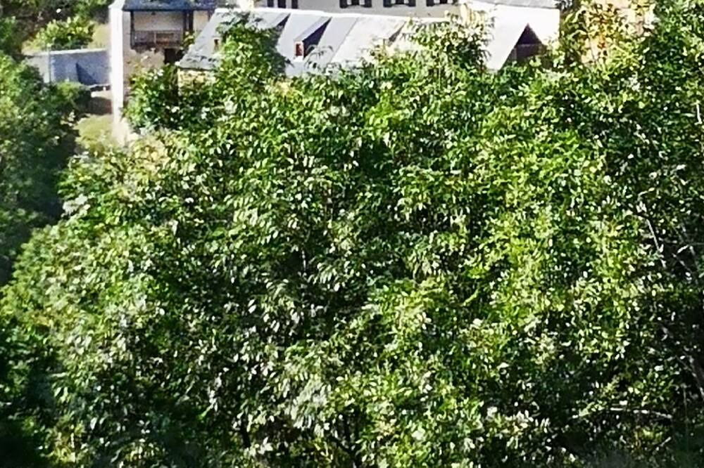 Photo of Outdoor in Cazaux-Frechet