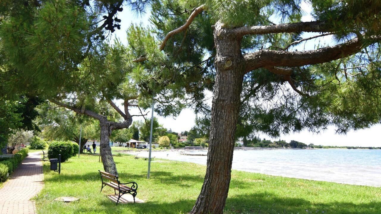 Photo of Outdoor in Dajla