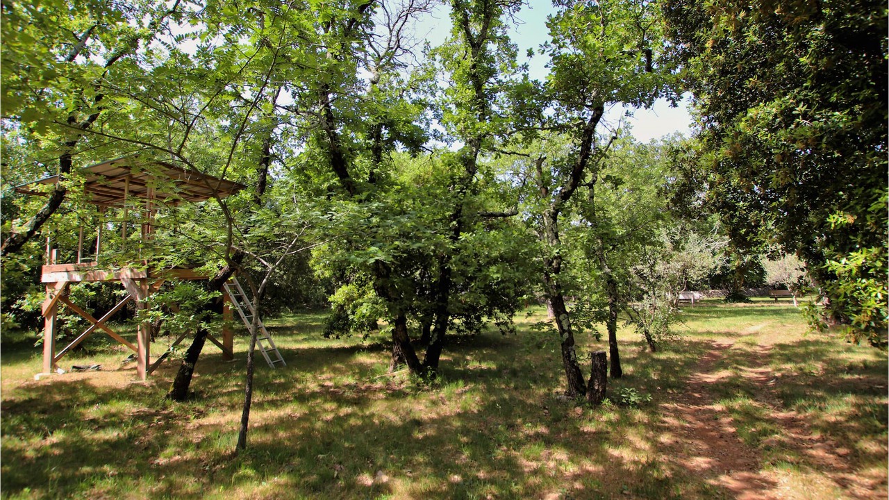 Photo of Others in Gras