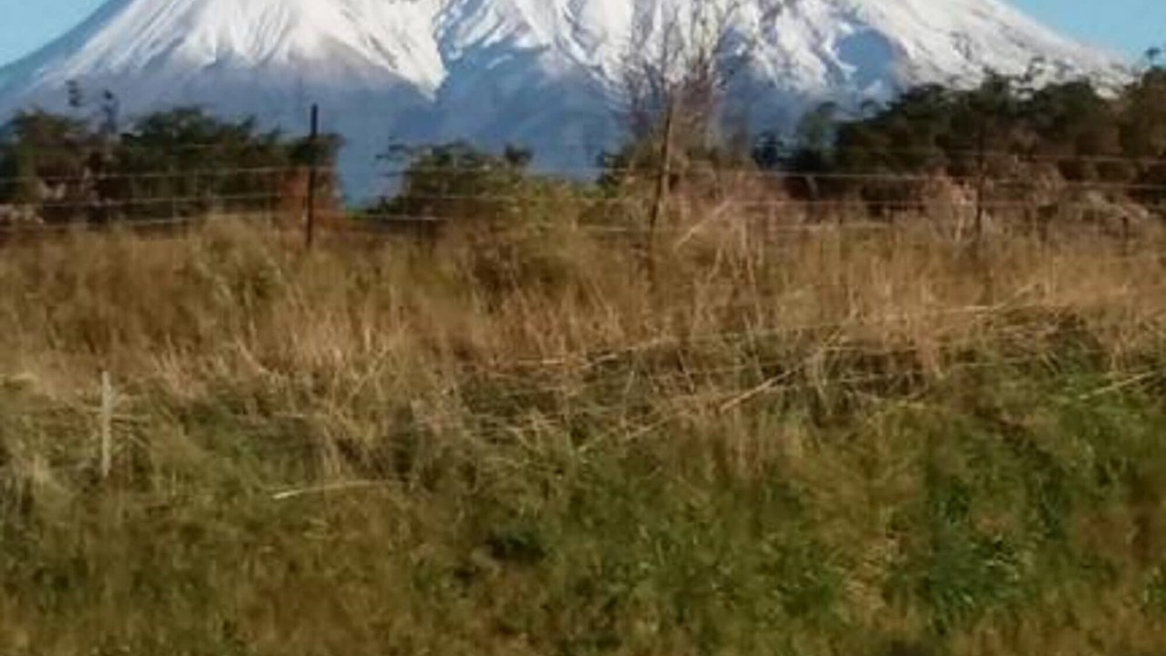 Photo of Others in Stratford