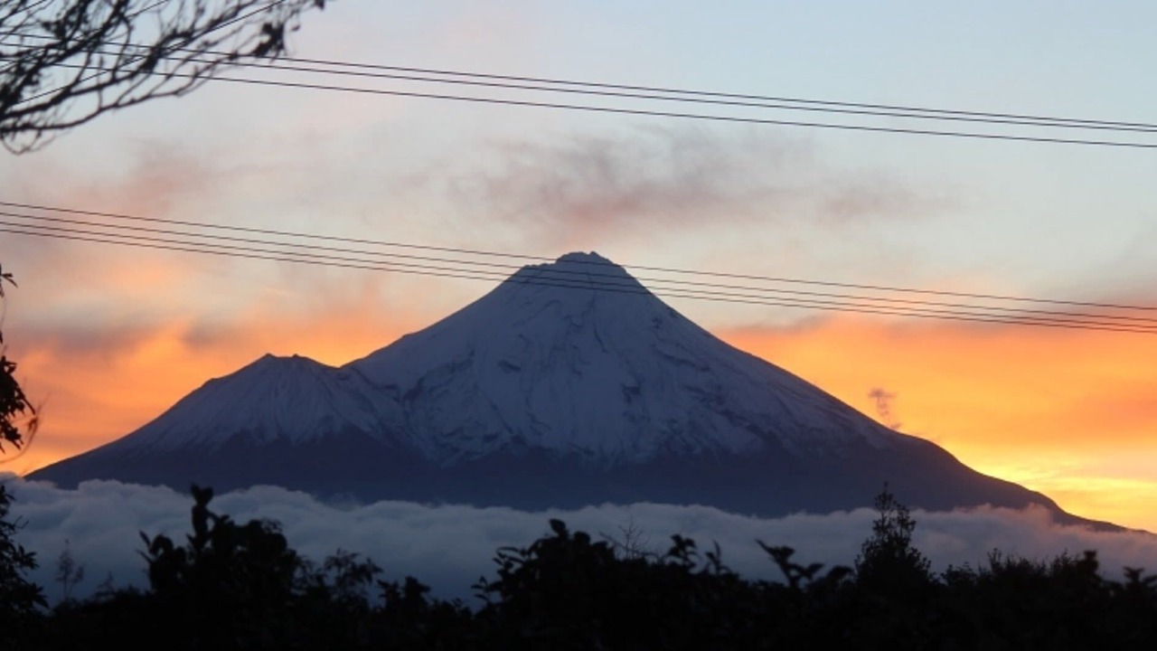 Photo of Others in Stratford