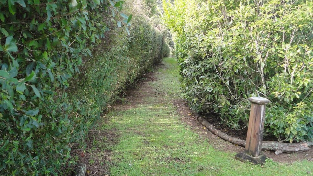 Photo of Outdoor in Stratford