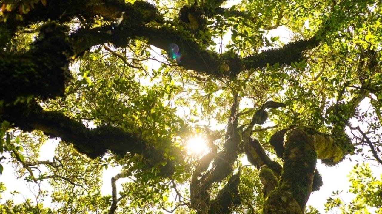 Photo of Outdoor in Stratford