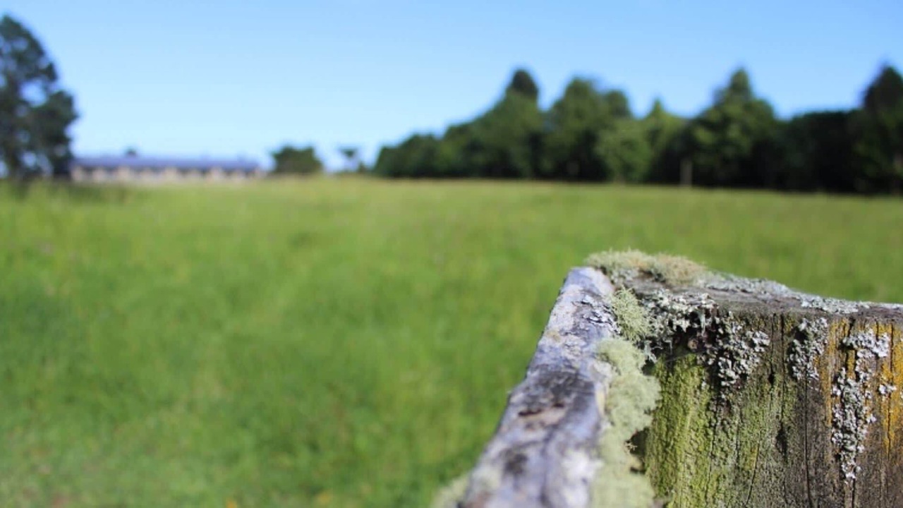 Photo of Outdoor in Stratford