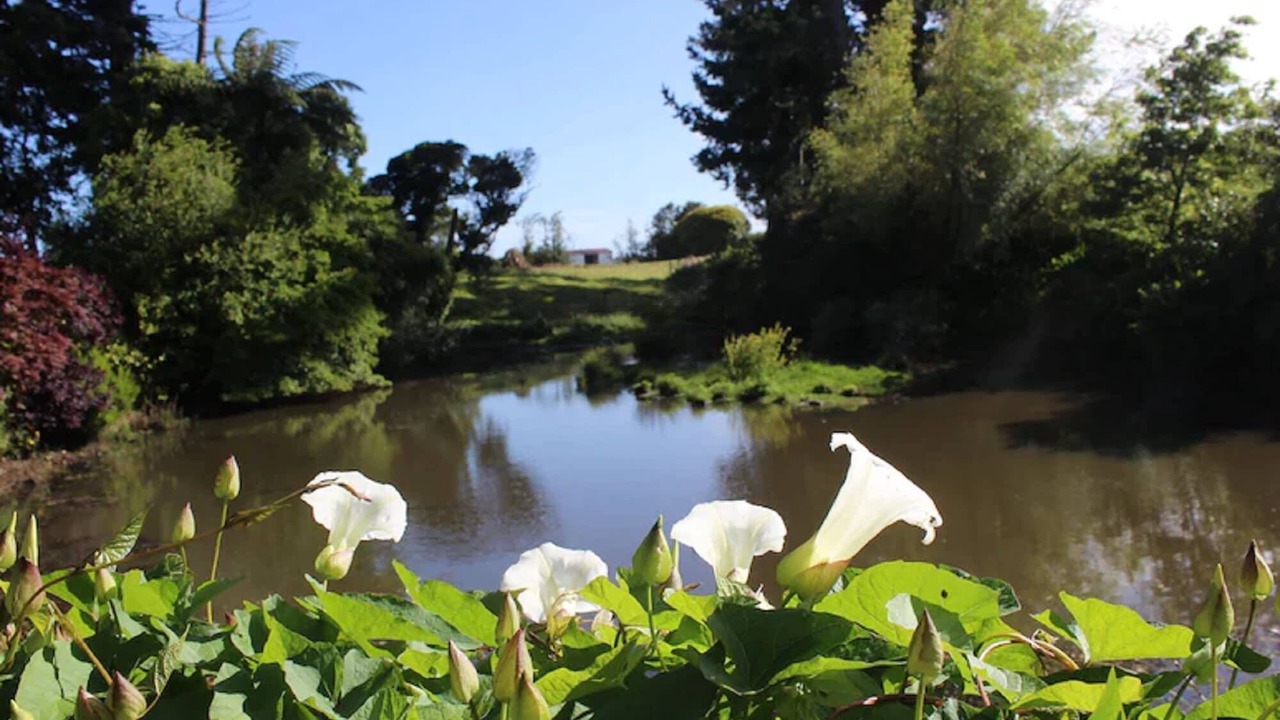 Photo of Outdoor in Stratford