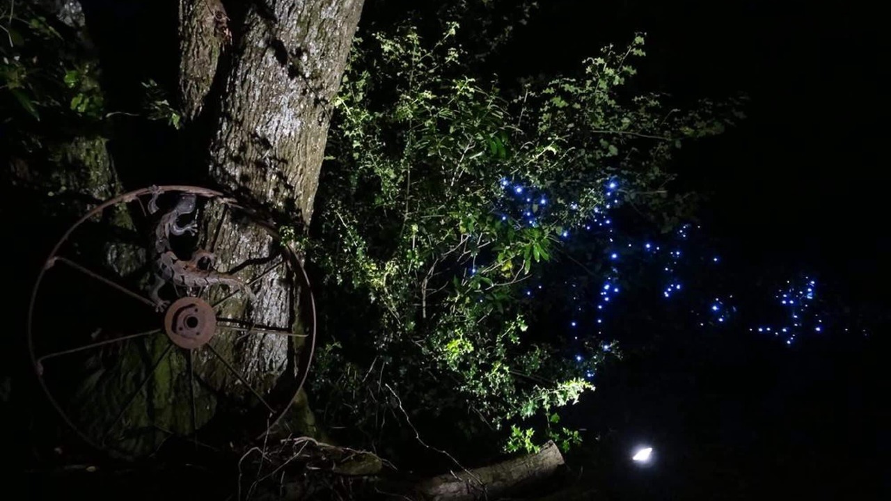 Photo of Outdoor in Stratford