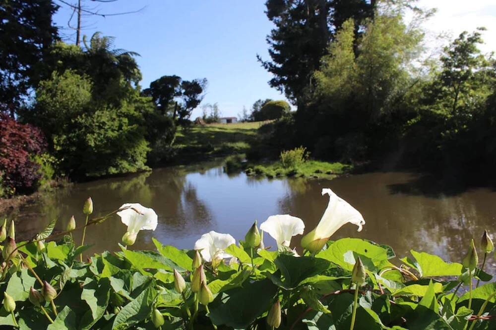 Photo of Others in Stratford