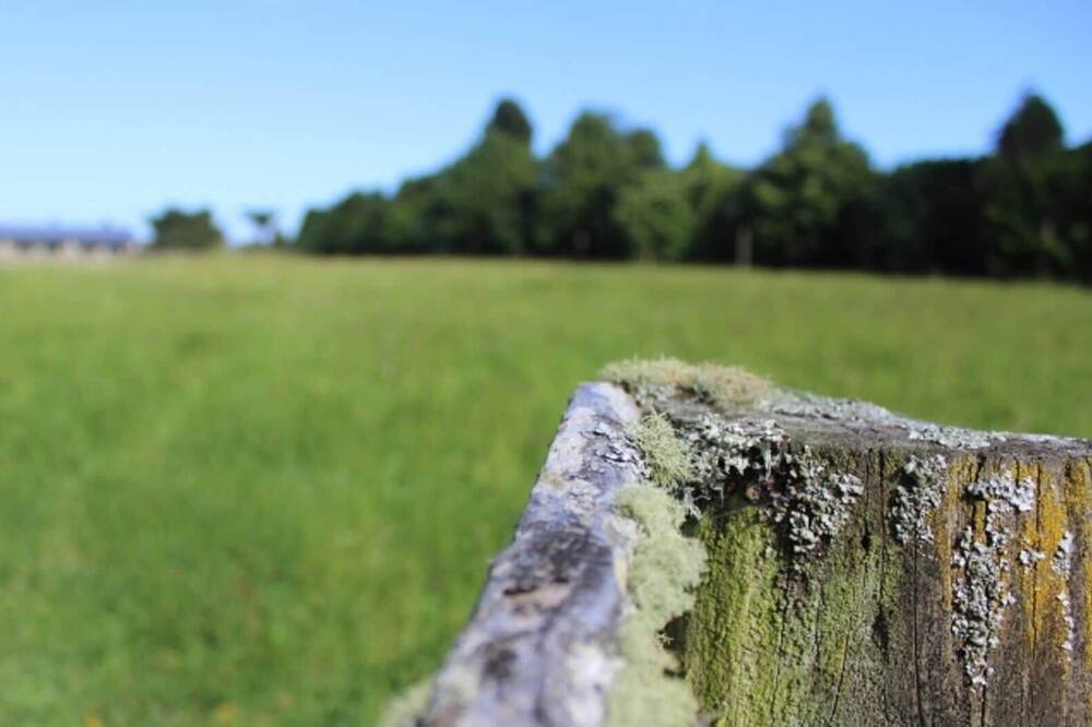 Photo of Others in Stratford