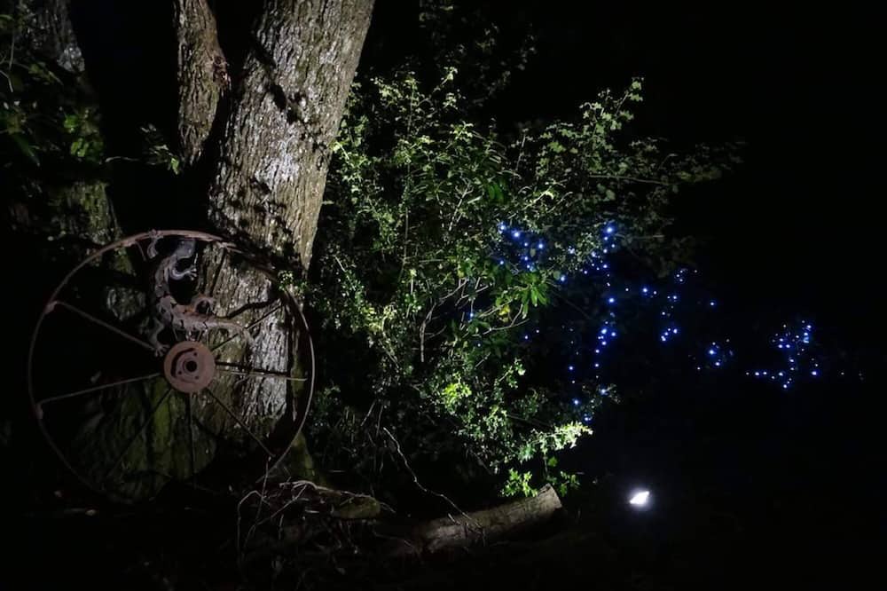 Photo of Others in Stratford