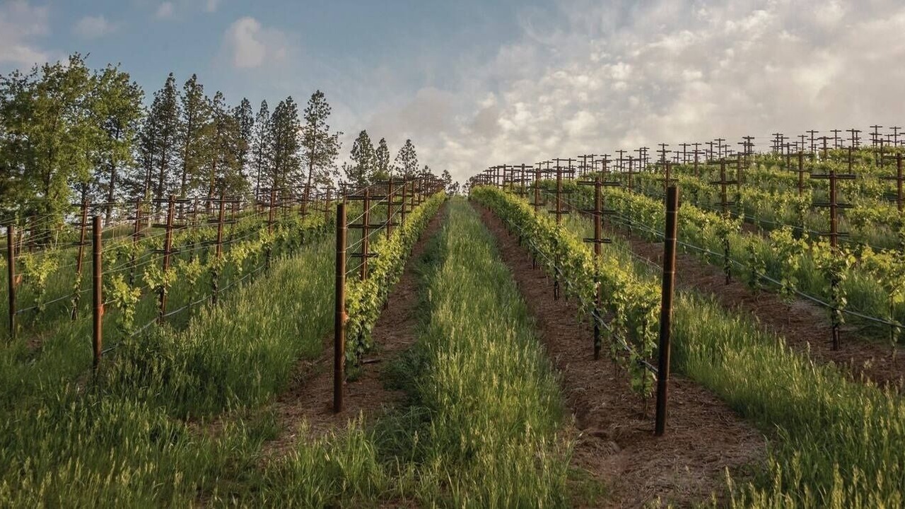 Photo of Outdoor in Placerville