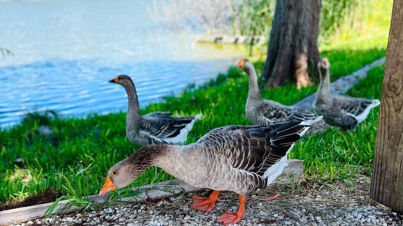 Photo of Outdoor in Flour Bluff