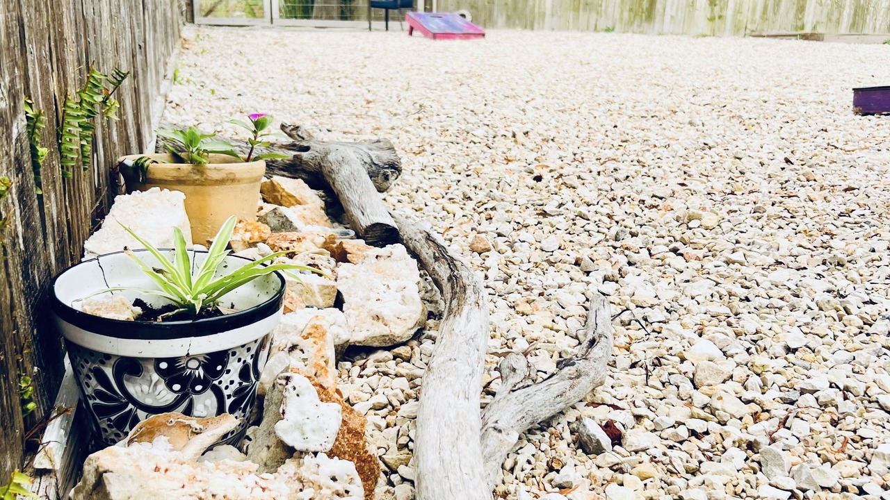 Photo of Outdoor in Flour Bluff