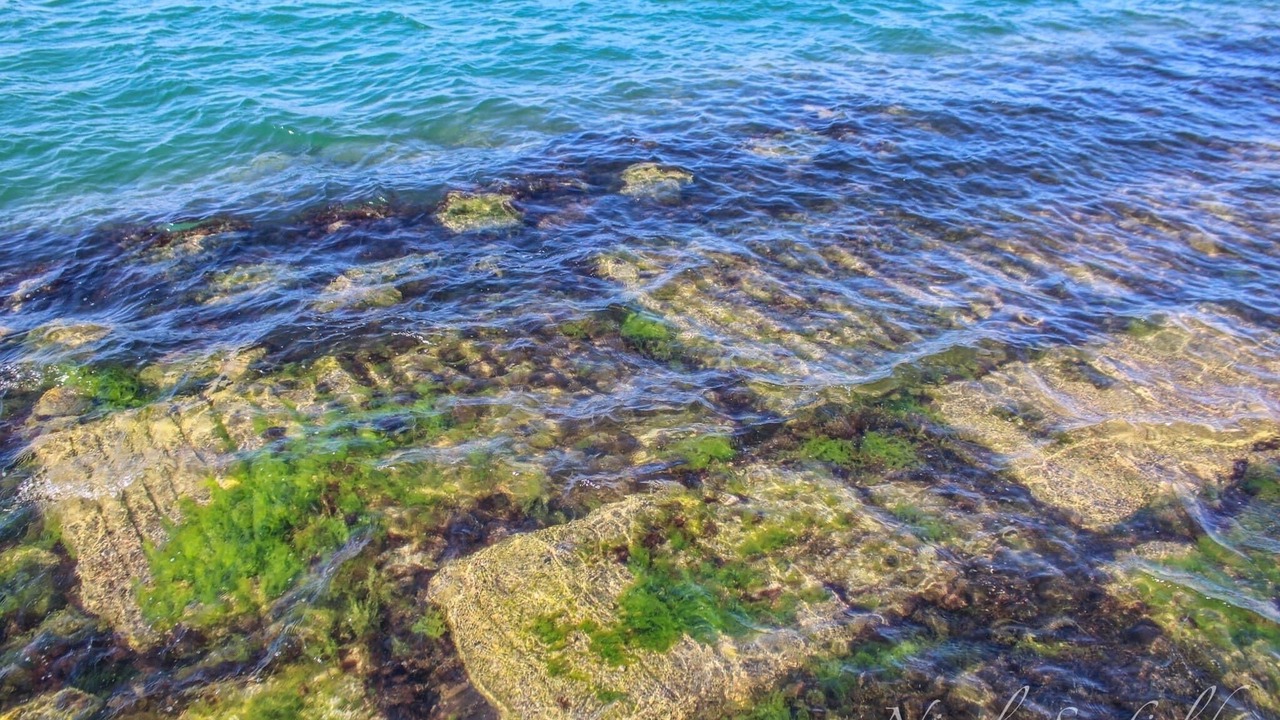 Photo of Outdoor in Flour Bluff