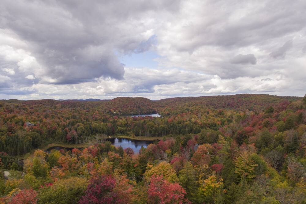 Photo of Others in Wentworth-Nord