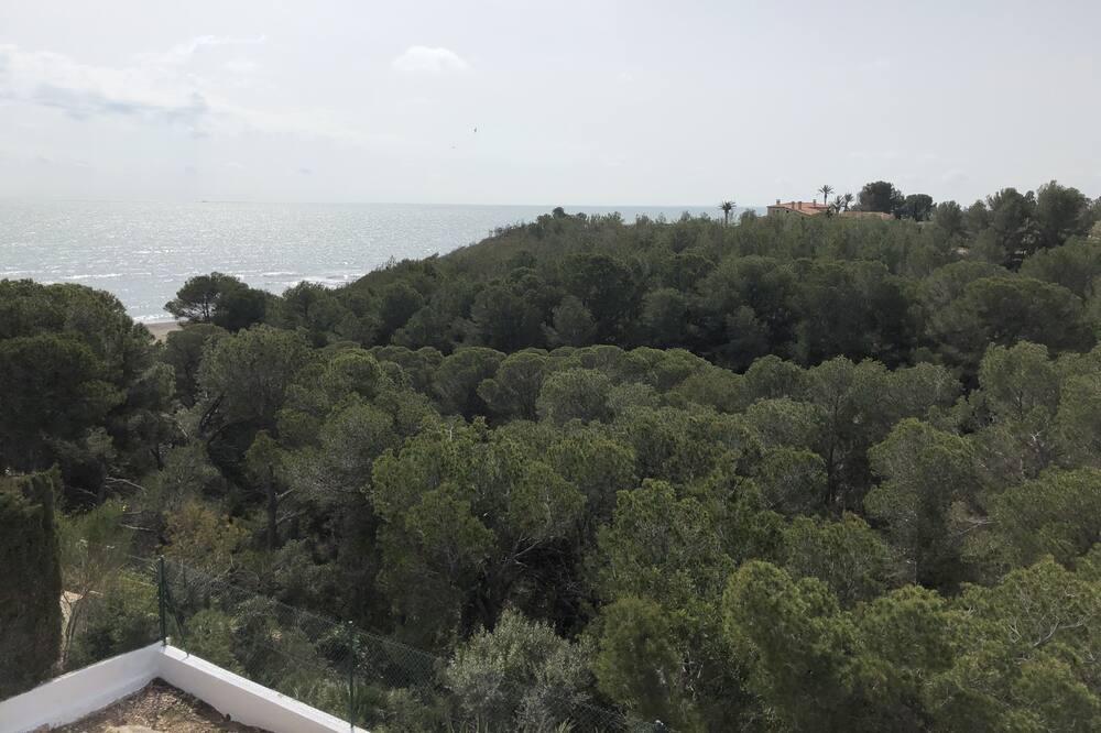 Photo of Others in L'Ametlla de Mar