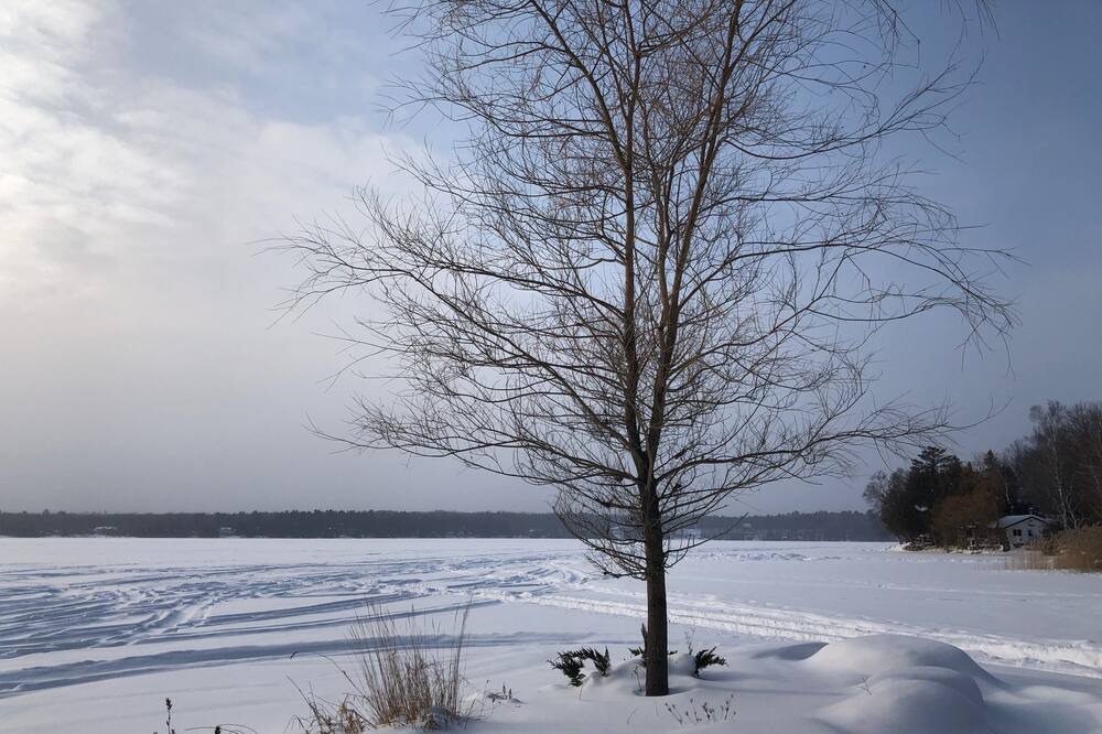 Photo of Others in Trent Lakes