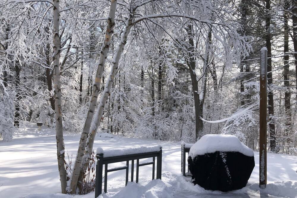 Photo of Outdoor in Trent Lakes