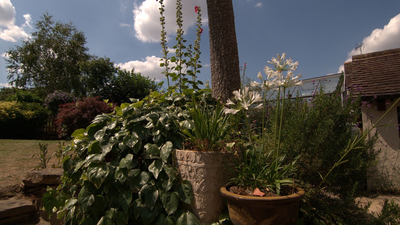 Photo of Outdoor in Warnham