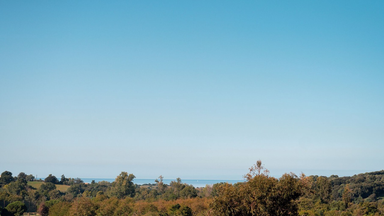 Photo of Others in Cauro