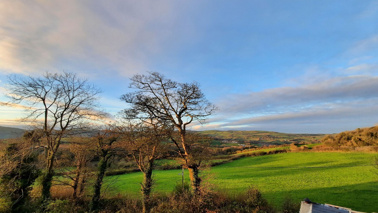 Photo of Others in Llysfaen