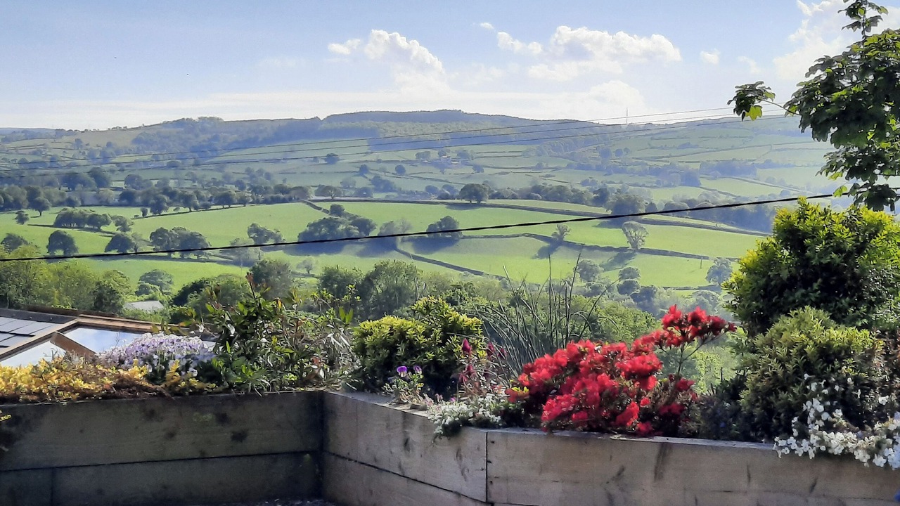 Photo of Others in Llysfaen