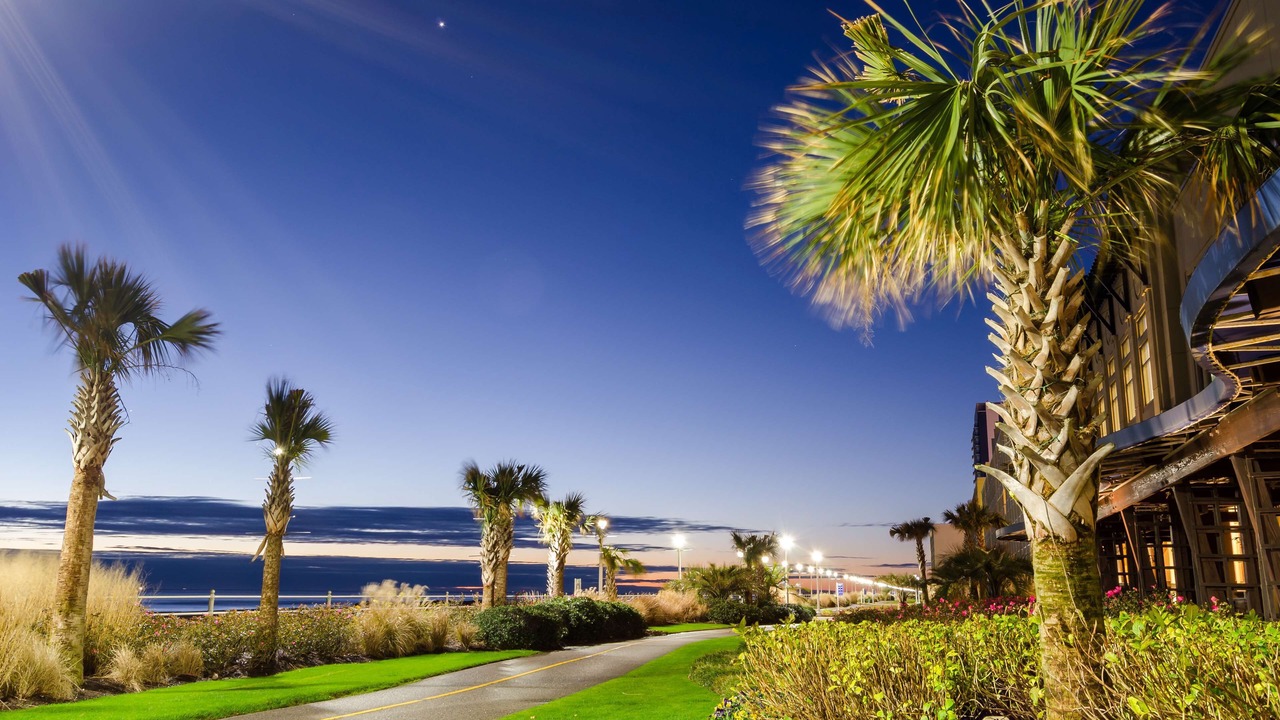 Photo of Outdoor in Northeast Virginia Beach