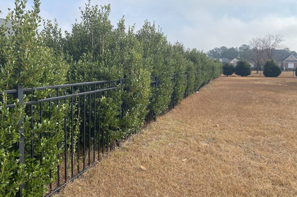 Photo of Outdoor in Cape Fear